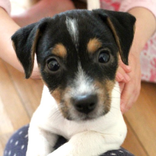 lewhite01's profile picture. 