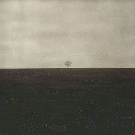 PCha_L's profile picture. ไม่มีแทฮยองเป็นสามีแล้ว แต่มีแทฮยองเป็นเมียแทน