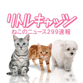 リトルキャッツ公式ブログ・公式掲示板のニュースBOT　#リトルキャッツ #Yuuさんの猫屋敷 #寄付・支援のお礼 #猫 #保護猫 #猫カフェ ★ 欲しいものリスト https://t.co/dR0ply8IwE