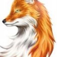 ruth daily (@sovranity) 's Twitter Profile