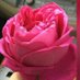 استغفرالله (@x523xx) Twitter profile photo استغفرالله (@x523xx) Twitter profile photo