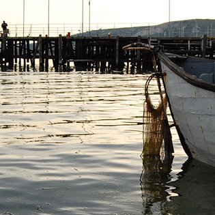 MvSoul's profile picture. All names, and incidents in theses tweets are fictitious. No identification with actual persons, groups and places is intended or should be inferred.