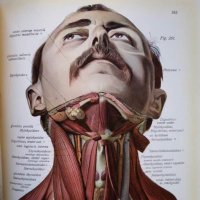 Neurosurgery101 (@neurosurgery101) 's Twitter Profile