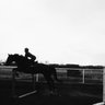emequsss's profile picture. my career choices are help horses and write stories and it's going well thanks for asking