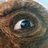 Image de profil de staytrql
