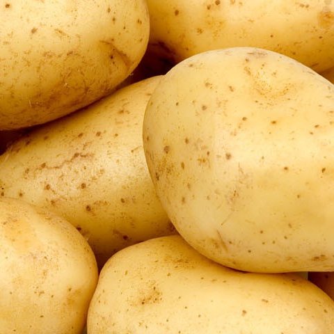 T_R_Potato's profile picture. I used to do stuff on Twitter.