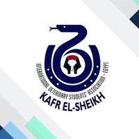 IVSA-KFS (@ivsakfs) 's Twitter Profile