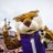 LSUmiketiger