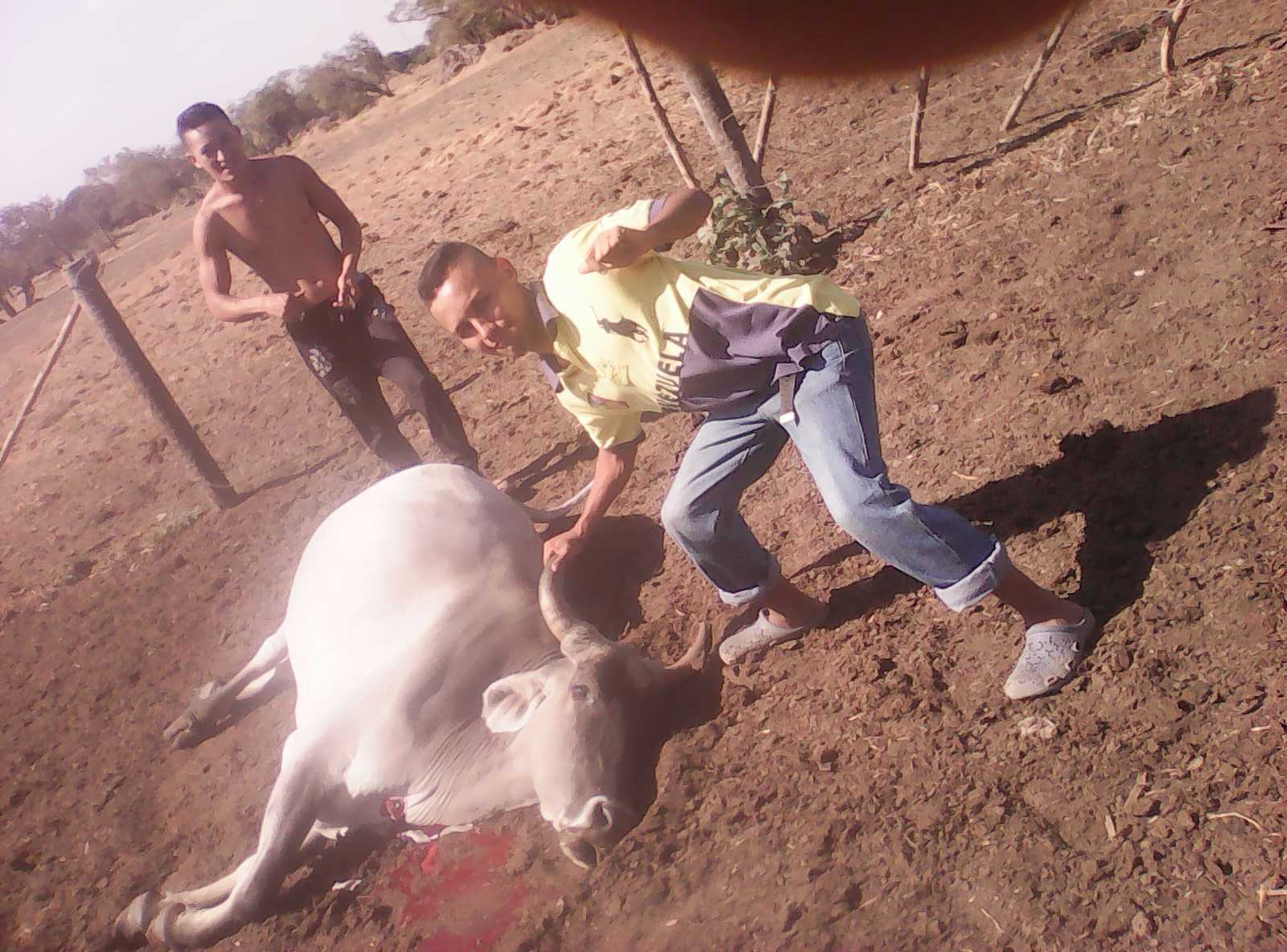 alonzo915's profile picture. 