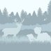 Conservation Job Board (@conservjobboard) Twitter profile photo Conservation Job Board (@conservjobboard) Twitter profile photo