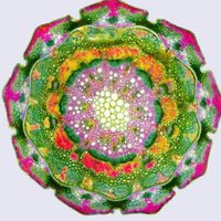 Micro Pictures (@microsnaps) 's Twitter Profile Photo Micro Pictures (@microsnaps) 's Twitter Profile Photo