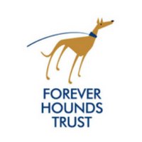 Forever Hounds Trust(@ForeverHoundsUK) 's Twitter Profileg
