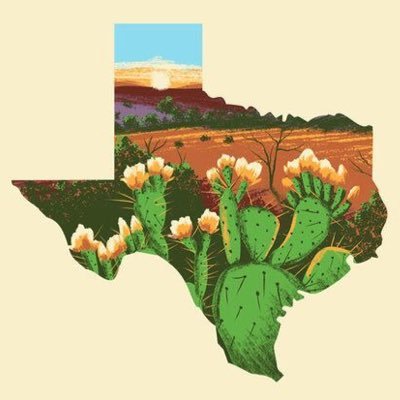 HubNativeGarden's profile picture. Texas Tech gardening organization that aims to connect & serve the community through humanitarianism & a love for plants! ꥟ est.2018 #RedRaiders Ŧ