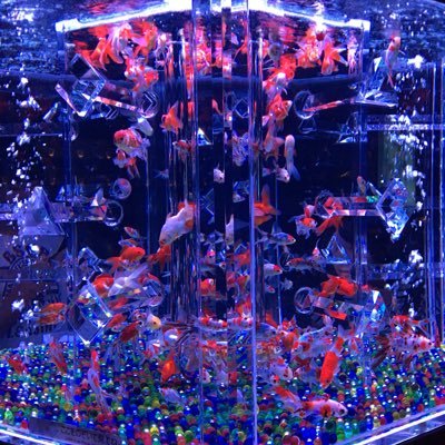 naenaemata's profile picture. フルタイム直帰ワーママ 中受検討中 無言フォロー失礼します