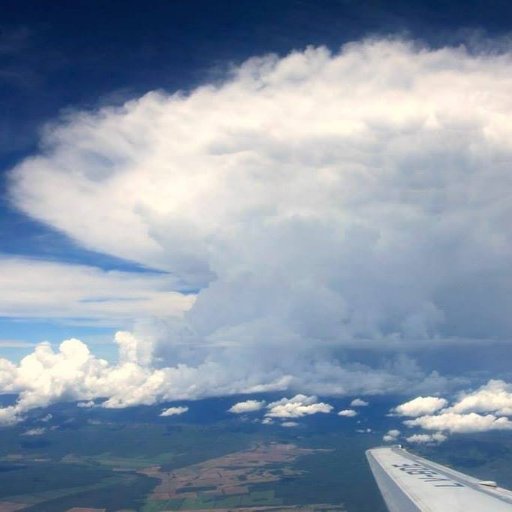 ASI_RELAMPAGO's profile picture. 