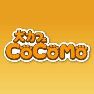 犬カフェcocomo 8i1hkvebwc Twitter
