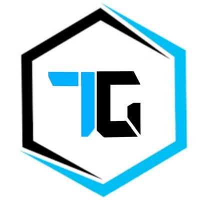 TechgamesG's profile picture. 