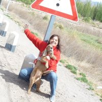 Paulita 🐾 (@paudeperro) 's Twitter Profile