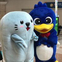 m (@mt20170613) 's Twitter Profile