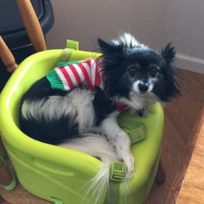 plotpoint82's profile picture. 