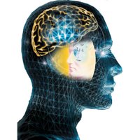 UC-Davis Center for Mind & Brain (@ucd_cmb) 's Twitter Profile Photo
