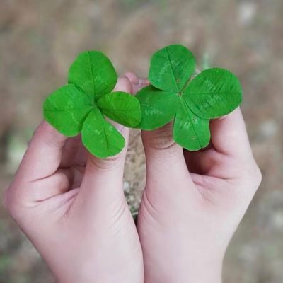 四つ葉🍀 (@1755waraiegao17) / Posts / X