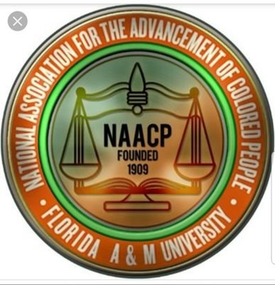 The FAMU Chapter of the National Association for the Advancement of Colored People ✊🏽✊🏾✊🏿 Interested in joining? Tap the link Instagram: @famunaacp