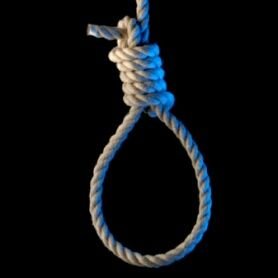 fczs529523's profile picture. 