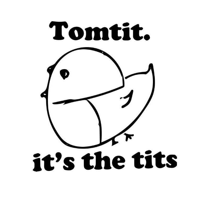 Tomtit.
#itsthetits
Foreordained 2018 Forest and Bird New Zealand Bird of the Year.