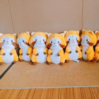 ふわふわふぁみりー🌽さんのプロフィール画像