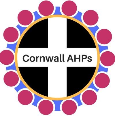 Inspired by #AHPsintoAction & the desire to transform healthcare through empowered AHPs.