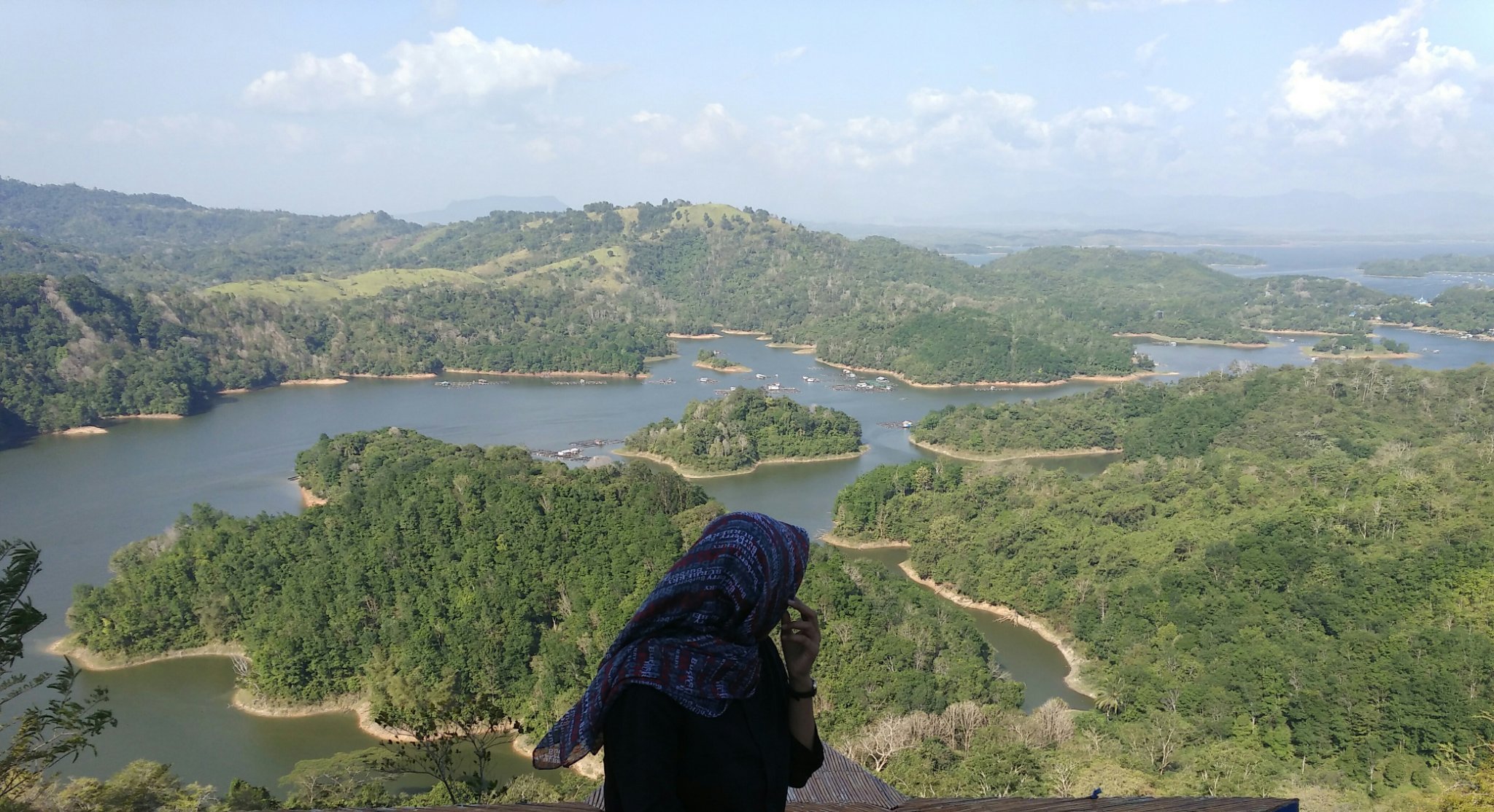 roromanoe's profile picture. Teacher