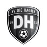 svDieHaghe's profile picture. Voetbalclub in Den Haag. Onze selectie speelt in de 2e klasse zaterdag. Voor meer informatie: https://t.co/17Bhs2eRL2.
