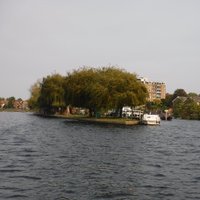 Teddington Head (@headteddington) 's Twitter Profile