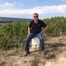Robert Raimes (@nyorksfarmer) Twitter profile photo Robert Raimes (@nyorksfarmer) Twitter profile photo