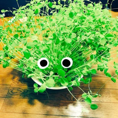 かおのプロフィール写真