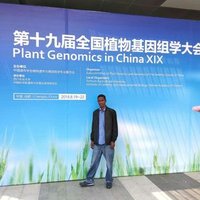 Haile_G.(PhD) (@gmailcomi1) 's Twitter Profile