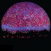 Heisenberg Lab (@heisenbergcplab) Twitter profile photo Heisenberg Lab (@heisenbergcplab) Twitter profile photo