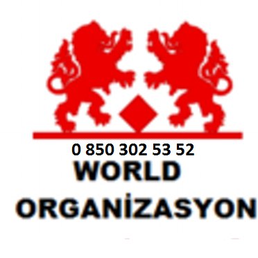 DansKiralama's profile picture. 