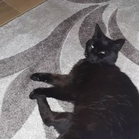 Gem (@gem45219044) 's Twitter Profile