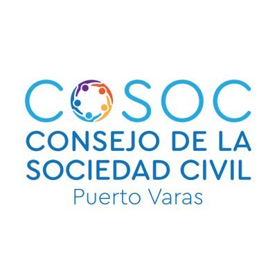 Órgano de participación ciudadana que asegurar la colaboración de la comunidad en el progreso económico, social y cultural de la comuna.