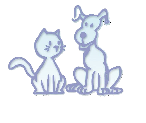 #Association loi 1901 pour la protection des #chats #chiens #chiots #chatons 🐶🐱
#protectionanimale #adoption #adoptionresponsable #bienetreanimal #AdoptDontSh