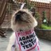 Melanie Prigg (@the__mrs_p) Twitter profile photo Melanie Prigg (@the__mrs_p) Twitter profile photo