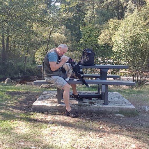 Korte wandelingen Waalse Ardennen en elektrische Fietstochten op de Ravels. #WandelenWaalseArdennen
#Woods