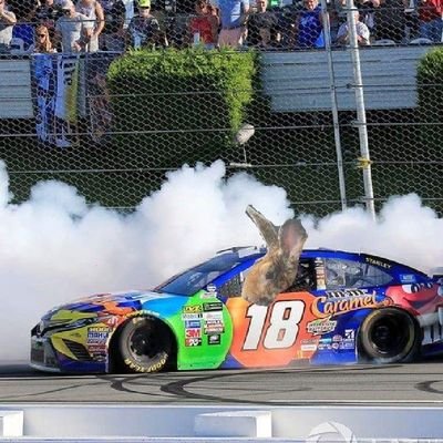 RowdyCarroll's profile picture. Howdy! I'm ken. I love country music, trucks, NASCAR, rabbits, robot combat, the outdoors and video games.