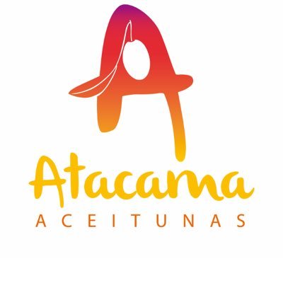 Empresa productora y exportadora de aceitunas de mesa de la region de Atacama
