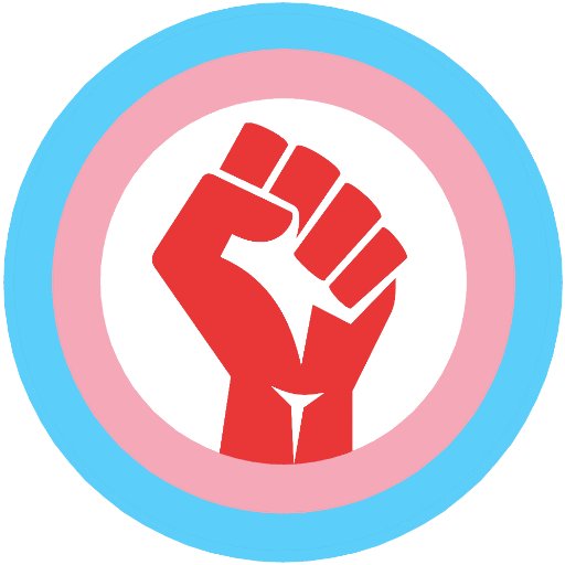 An in-formation group of transgender and nonbinary socialists, anarchists, and anticapitalists around the world looking to unite and fight for equality! 🌄