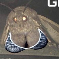 Big Titty Moth GF(@KruseControlOn) 's Twitter Profile Photo