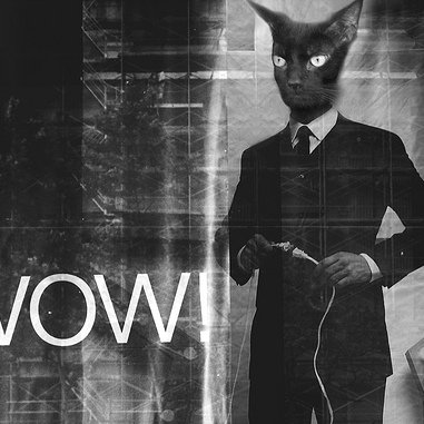 lichenrock's profile picture. 