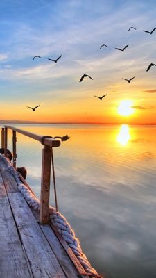 Raffael31338460's profile picture. 